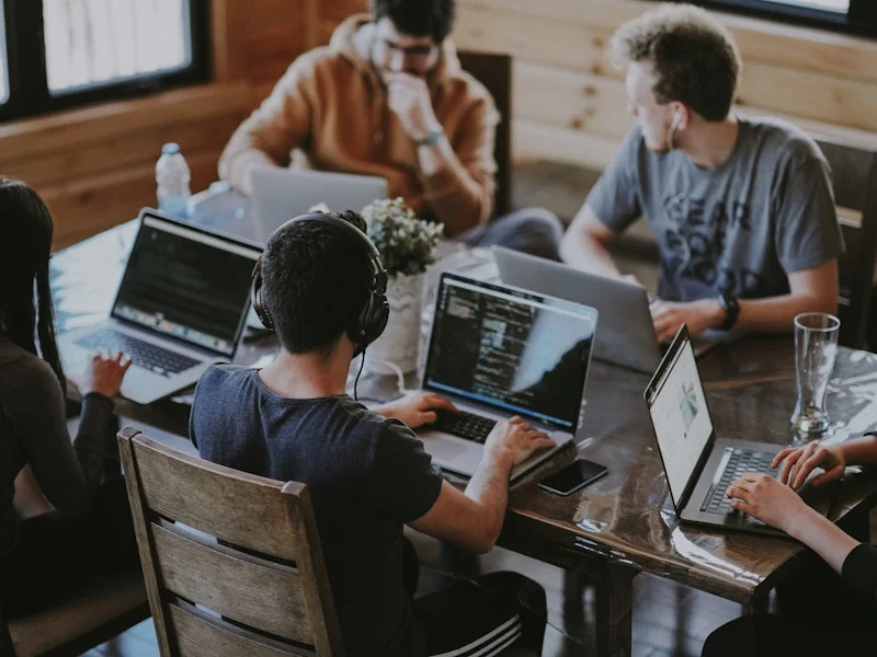 best wordpress developer in alwar